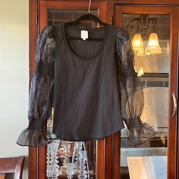 Cinq a Sept Libby Organza Sleeve Top in Black 🥂 - Picture 2 of 9